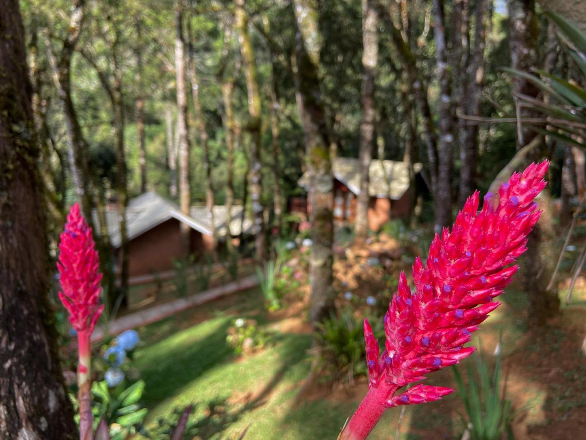 Vivie Pousada Monte Verde (Minas Gerais) Exterior foto